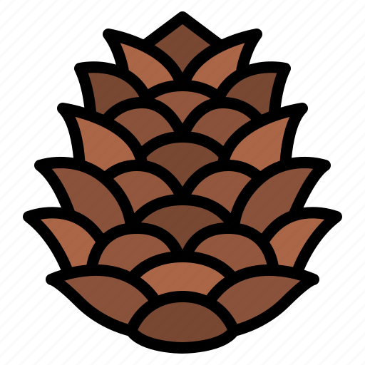 Cone, nature, nut, pine icon - Download on Iconfinder