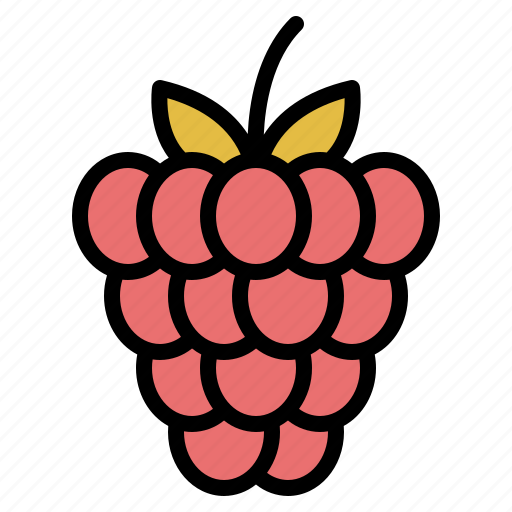 Fruit, healthy, nature, raspberry icon - Download on Iconfinder