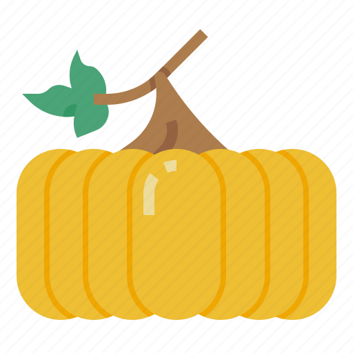 Pumpkin, food, diet, vegan, vegetarian, healthy, organic icon - Download on Iconfinder