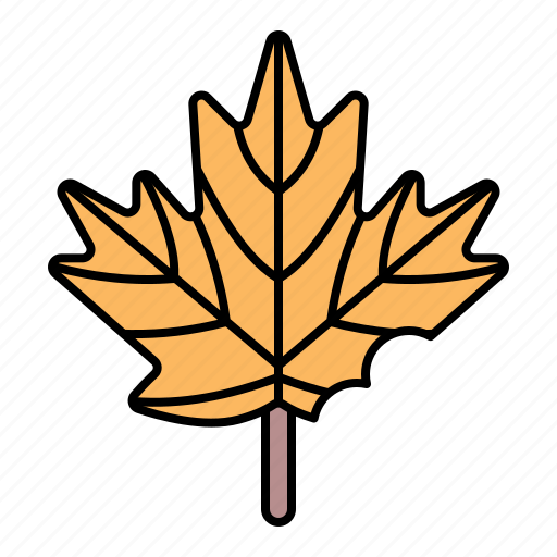 Autumn, fall, maple, leaf icon - Download on Iconfinder