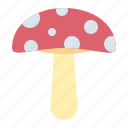vegetable, fungus, mushroom, autumn