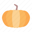 pumpkin, squash, fruit, autumn