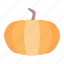 pumpkin, squash, fruit, autumn 