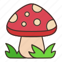 autumn, champignon, food, mushroom 