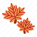 canada, leaf, maple, nature, autumn 
