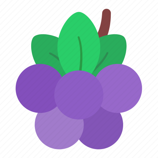 Berries, berry, blue, cranberries, food, fruit icon - Download on Iconfinder