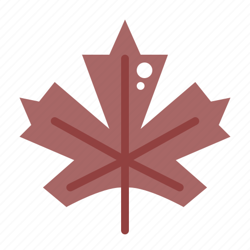 Maple, leaf, autumn, fall, nature icon - Download on Iconfinder