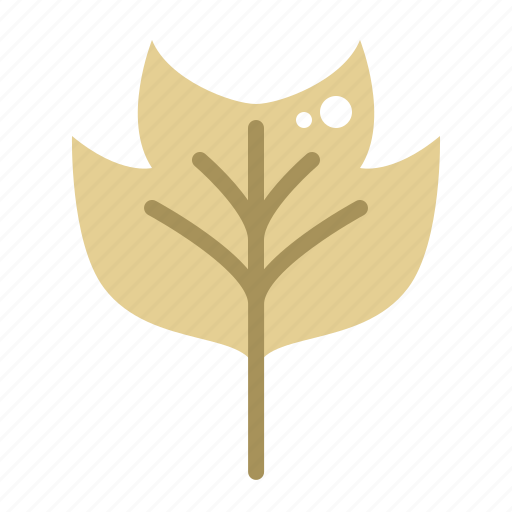 Tulip, poplar, leaf, autumn, fall, nature, plant icon - Download on Iconfinder