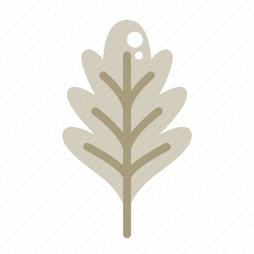 Oak, leaf, autumn, fall, plant, nature icon - Download on Iconfinder