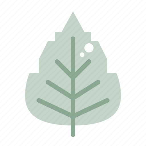 Birch, leaf, plant, nature, autumn, fall icon - Download on Iconfinder