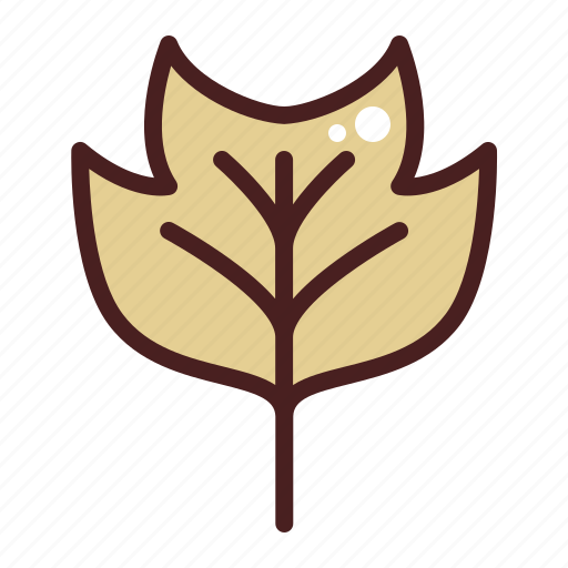Tulip, poplar, leaf, nature, plant, autumn, fall icon - Download on Iconfinder