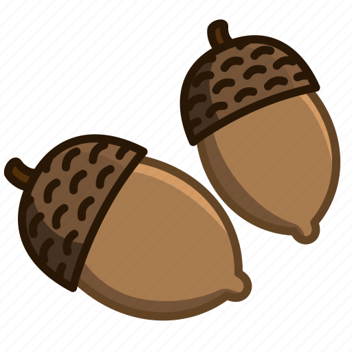 Accorn, acorn, food, fruit, nut, vegetable, healthy icon - Download on Iconfinder