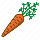 autumn, carrot, food, healthy, vegetable