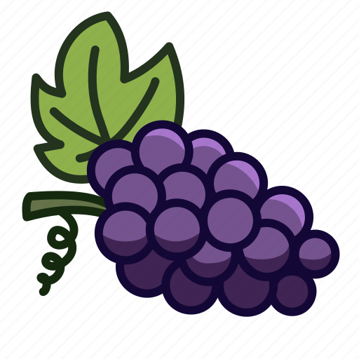 Garden, grapes, nature, plant, leaf, gardening icon - Download on Iconfinder