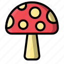 mushroom, vegetable, healthy, plant, nature, food, fungi, forest, fungus