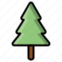pine, tree, forest, christmas tree, plant, xmas, trees, christmas, nature