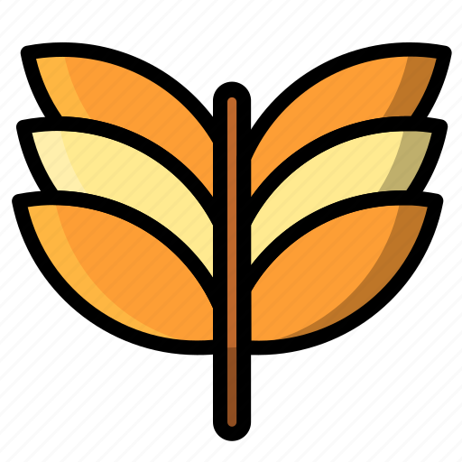 Wheat, paddy, agriculture, gardening, farming, plant, nature icon - Download on Iconfinder