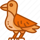 bird, robin, autumn, animal, wildlife, wing, seasonal