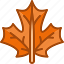 leaves, maple, canada, foliage, autumn, season, nature