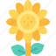 flower, sunflower, botanical, petals, nature 