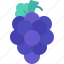 grape, grapes, fruits, fruit, bouquet 