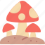 mushroom, fungi, amanita, nature, muscaria 