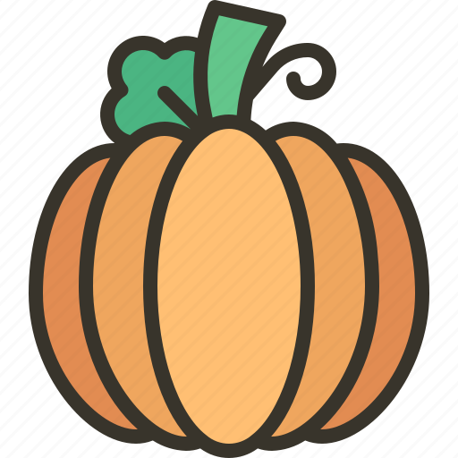 Pumpkin, fruit, organic, healthy, food, vegetarian icon - Download on Iconfinder