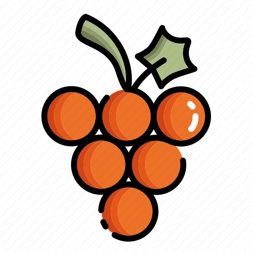 Autumn, food, fruit, grapes, healthy icon - Download on Iconfinder