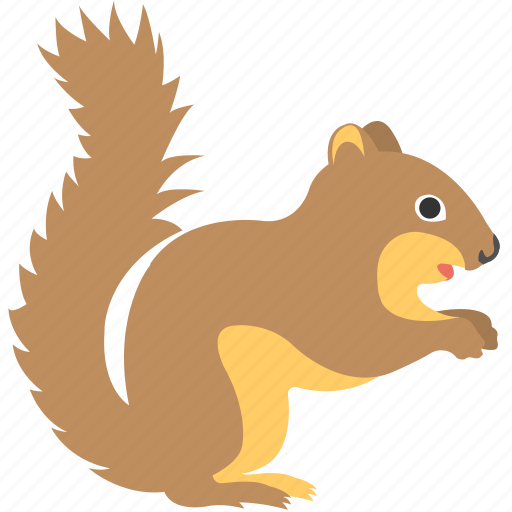 Animal, cartoon squirrel, chipmunk, domestic animal, squirrel icon - Download on Iconfinder