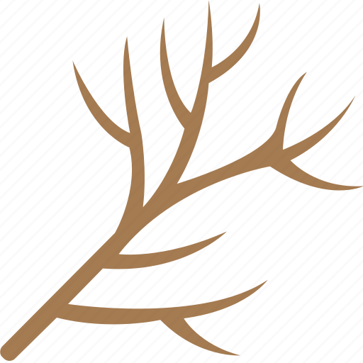 Dead tree, dry plant, dry tree branch, dry twig, tree branch icon - Download on Iconfinder