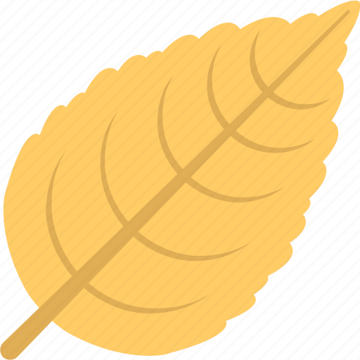 Autumn leaf, dry leaf, leaf, sweet birch, yellow leaf icon - Download on Iconfinder