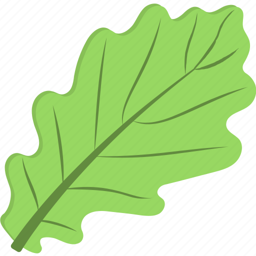 Green leaf, green vegetable, leafy vegetable, spinach, spinach leaf icon - Download on Iconfinder