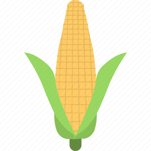 Corn cob, maize, ripe corn, sweet corn, yellow corn icon - Download on Iconfinder