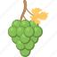 bunch of grapes, fruit, grapes, grapes with leaf, green grapes 