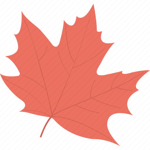 Autumn leaf, fall leaf, leaf, maple, maple leaf icon - Download on Iconfinder