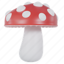 mushroom, fungi, forest 
