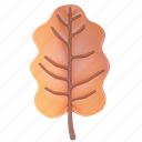 oak, leaf, autumn, dried, season, fall, forest 