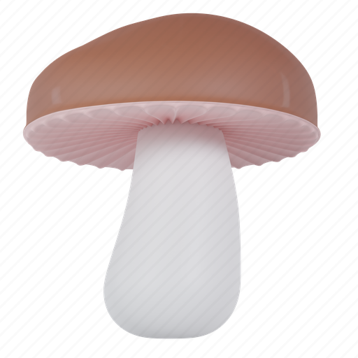 Mushroom, brown, fungi, food, organic, vegetation, healthy 3D illustration - Download on Iconfinder