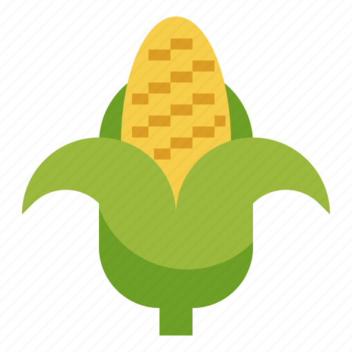 Cereal, corn, food, healthy, organic, vegetarian icon - Download on Iconfinder