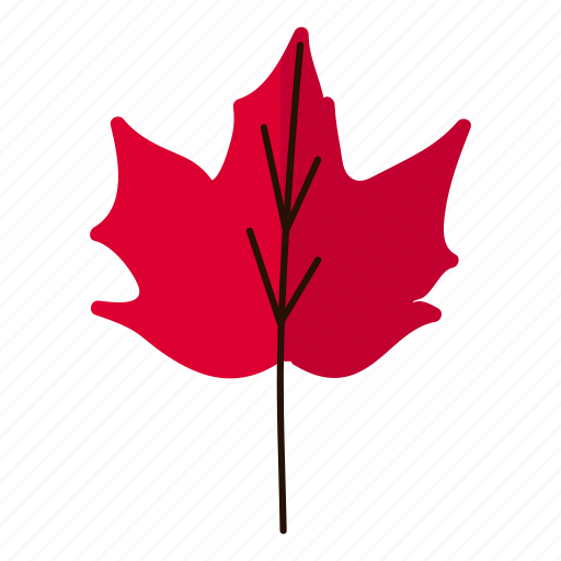 Autumn, illustration, leaf, leaves, nature icon - Download on Iconfinder
