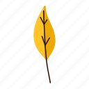 autumn, illustration, leaf, leaves, natural, nature