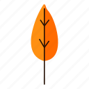 autumn, forest, illustration, leaf, leaves, nature