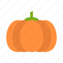 autumn, fall, halloween, pumpkin, thanksgiving, vegetable