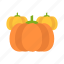 autumn, halloween, holiday, patch, pumpkin, pumpkins, thanksgiving 