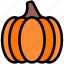 pumpkin, autumn, season, vegetable, food, harvest, fall, agriculture 