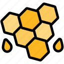 honey, comb, cell, food, bee, hexagon, beeswax, natural, healthy