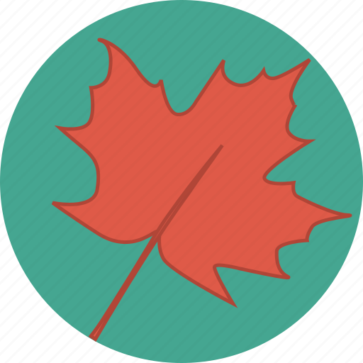 Autumn, canada, canadian, fall, leaf, maple, maple leaf icon - Download on Iconfinder