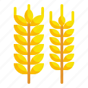 barley, branch, food, leaves, wheat