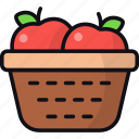 apples, fruit basket, harvest, harvesting, fruits, gardening