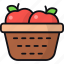 apples, fruit basket, harvest, harvesting, fruits, gardening 